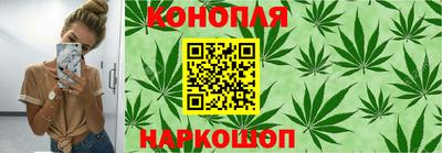 сатива Малоярославец