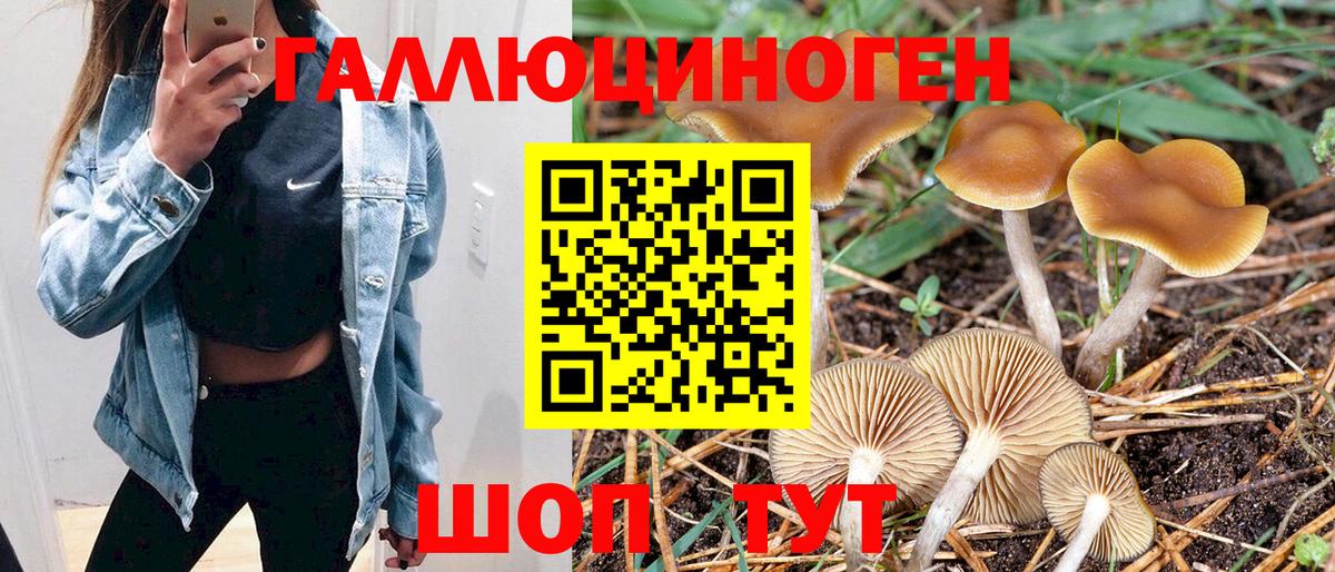 как найти наркотики  Вход с VPN  Шали  Псилоцибиновые грибы мухоморы 